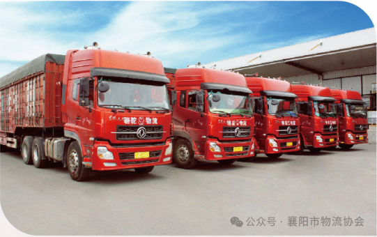 襄阳市物流协会调研湖北骆驼物流有限公司现场图片6