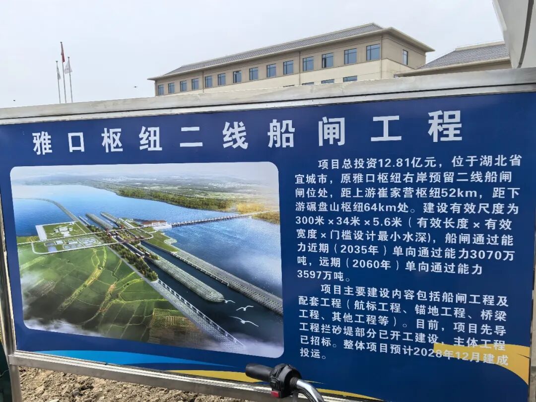 协会2026年3月第三周工作情况综述现场图片5